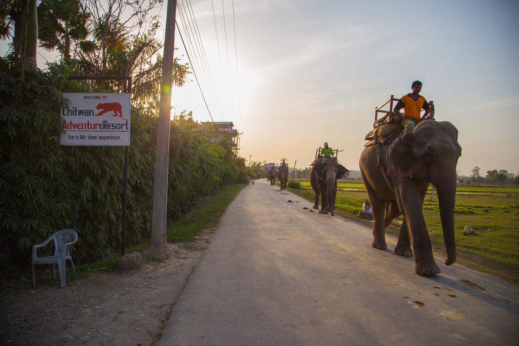 Chitwan Adventure Resort Sauraha Eksteriør billede