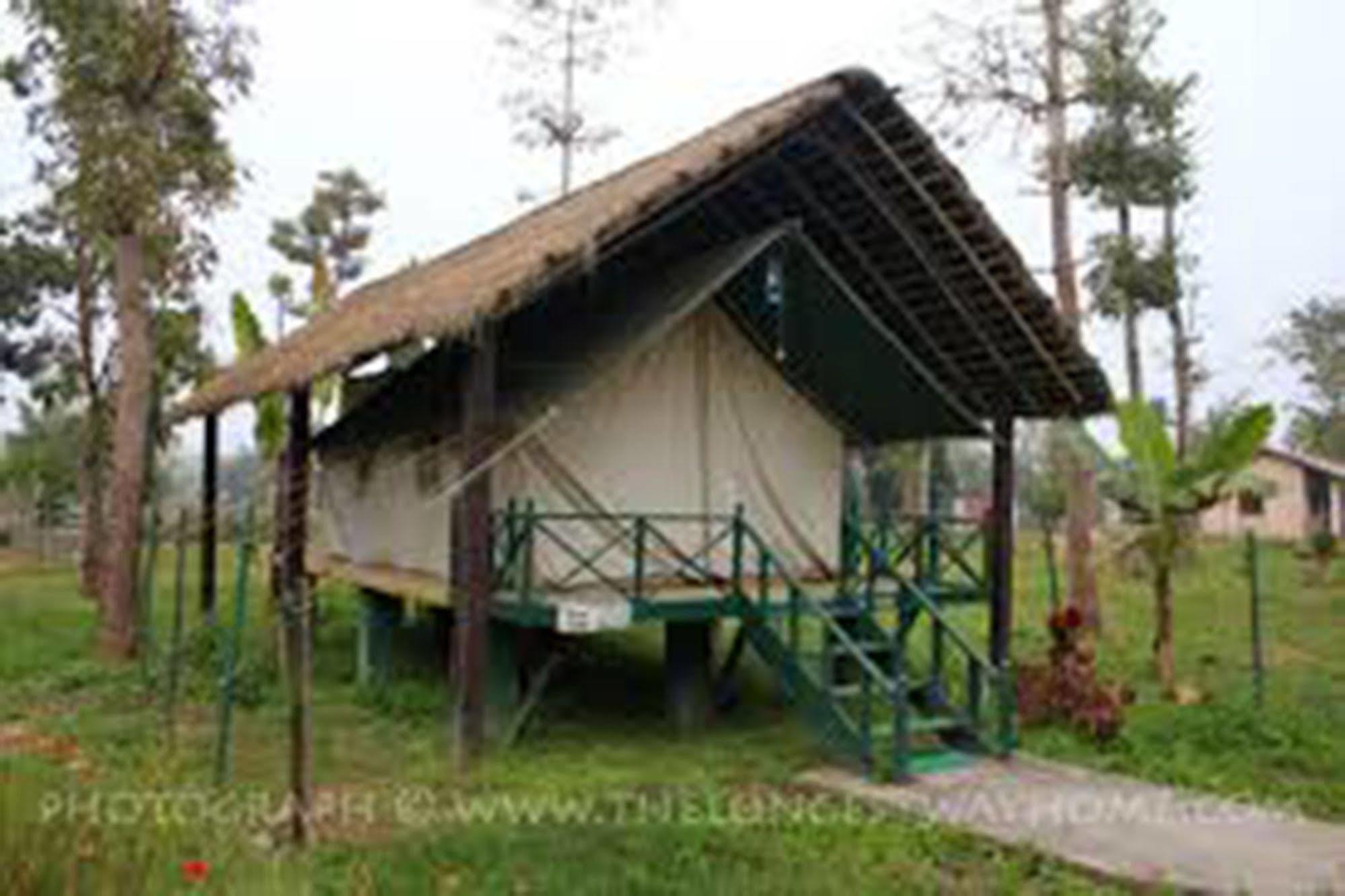 Chitwan Adventure Resort Sauraha Eksteriør billede