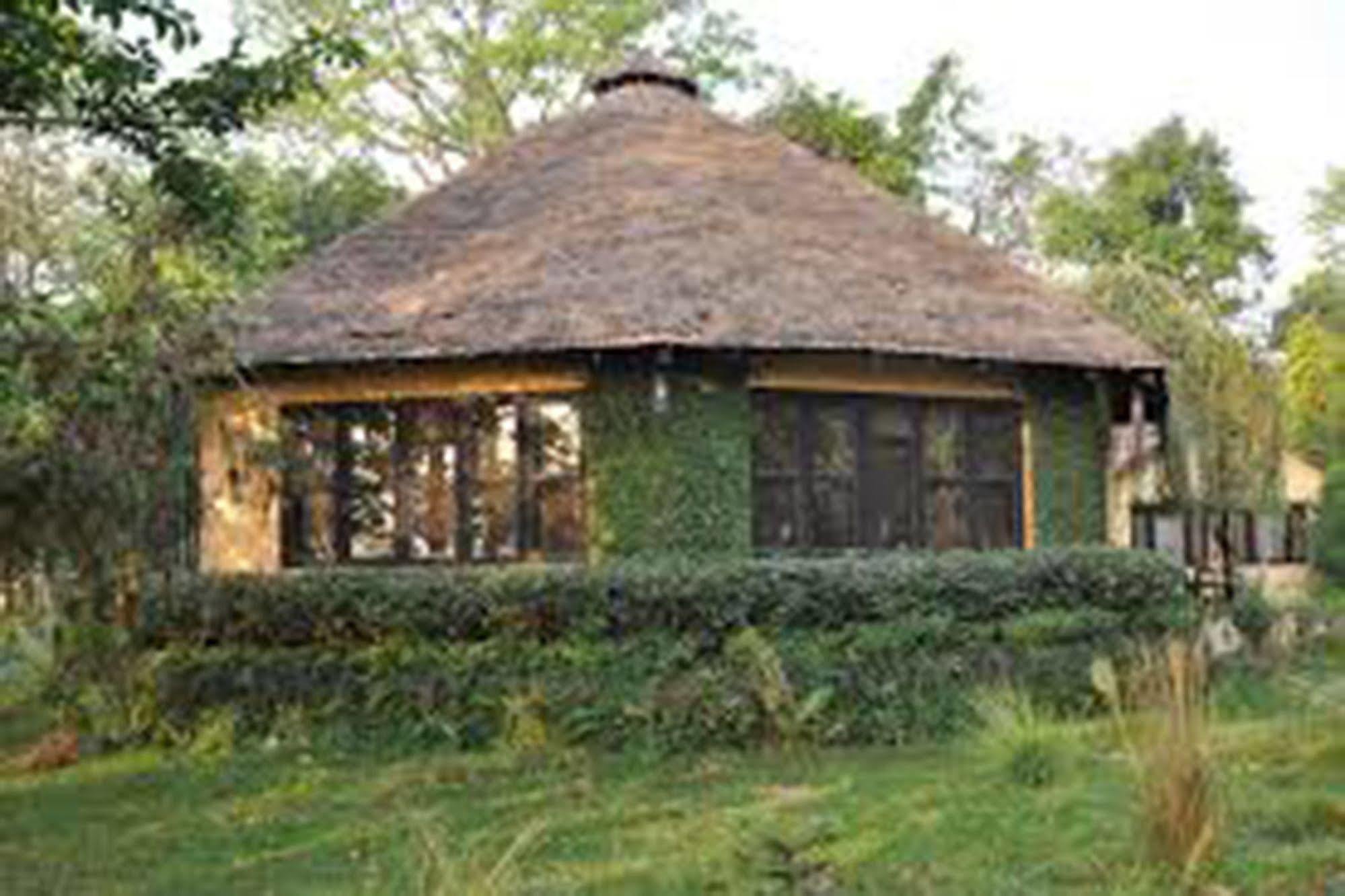 Chitwan Adventure Resort Sauraha Eksteriør billede