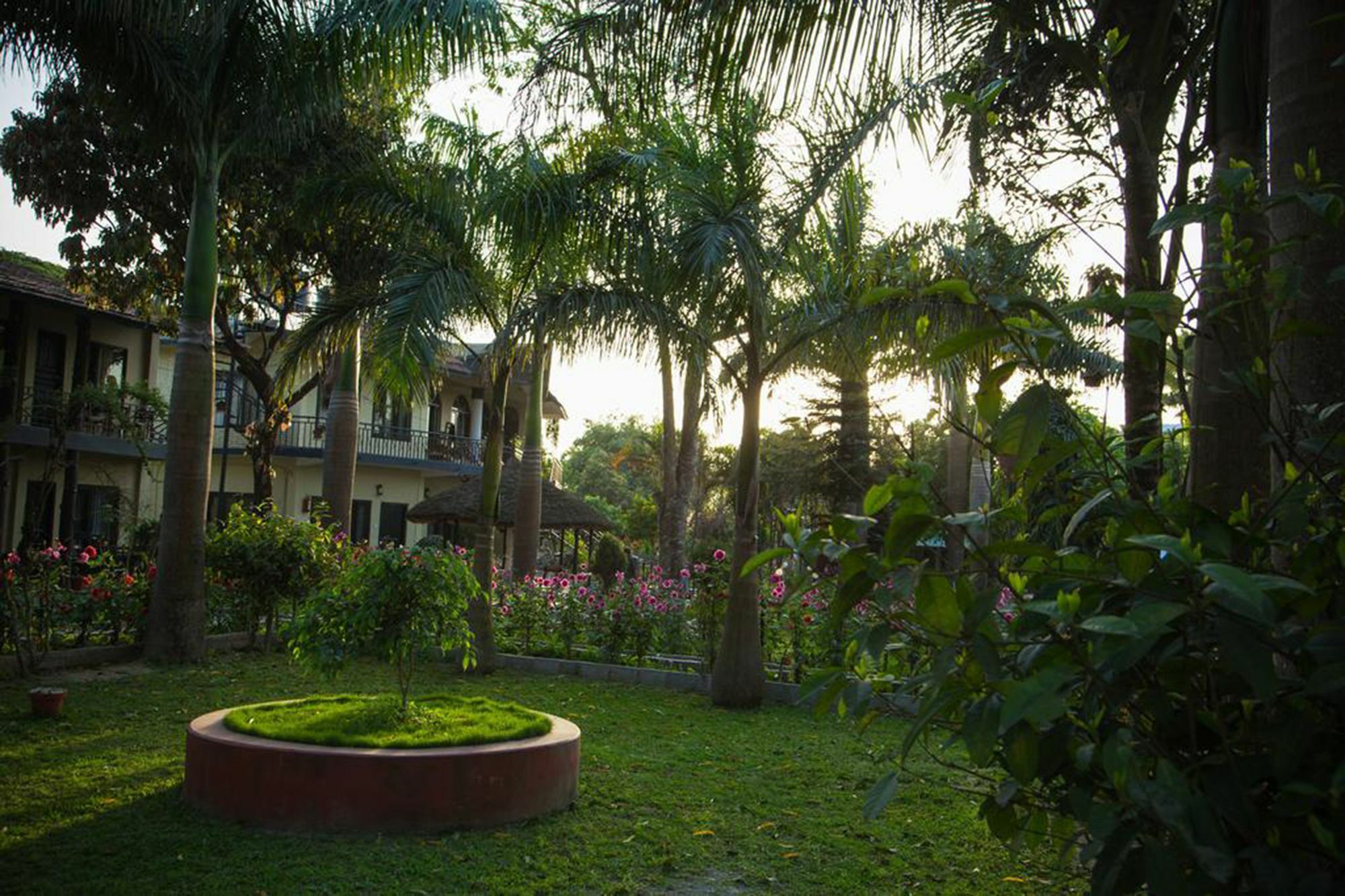 Chitwan Adventure Resort Sauraha Eksteriør billede